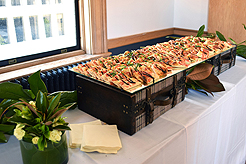 MEET ME AT THE COURT HOUSE